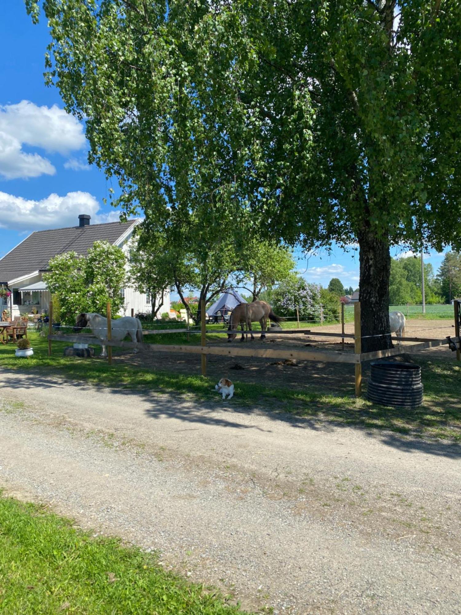Sundby Fjordhestgard Villa Gardermoen Exterior photo